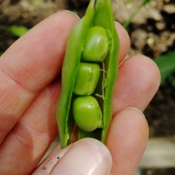 IMG_20180621_122826_698